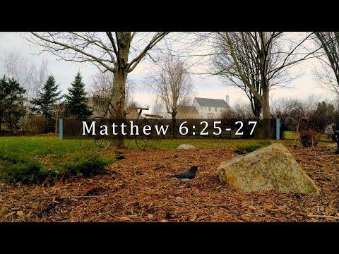 God's Word Daily - 07 Dec 2021 | Matthew 6:25-27