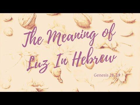 The Meaning of Luz In Hebrew: Genesis 29:18