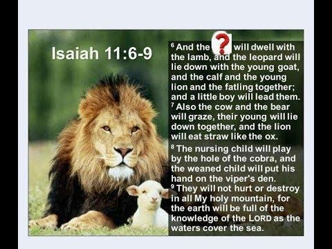 Isaiah 11:6 LION and LAMB More PROOF 2019