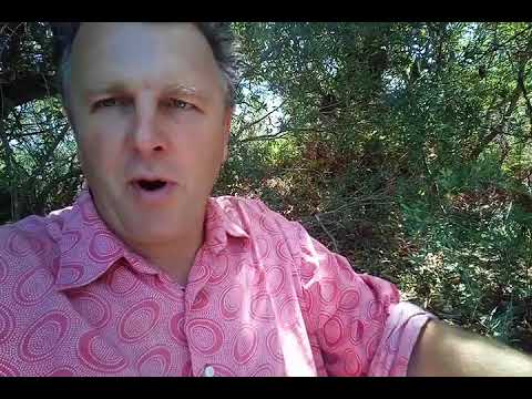 Revs from 2 Chronicles 29:16