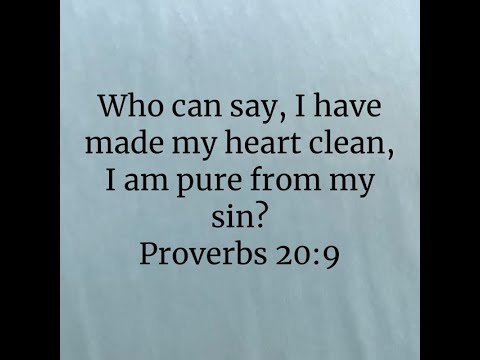 Proverbs 20:9