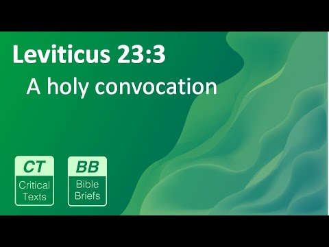 Bible Brief #64 - Leviticus 23:3