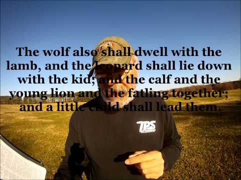 Isaiah 11:6 The WOLF will live with the lamb...