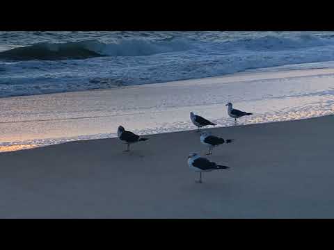 Coffee Break   (5 Minutes with God) Psalm 133:1-3