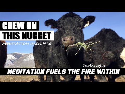 Chew on this Psalm 39:3 Meditation fuels the fire within which then removes the dross