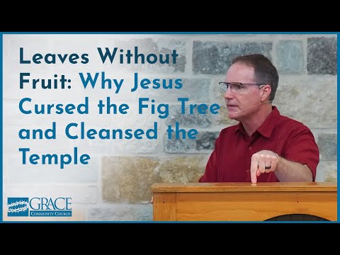 Leaves Without Fruit: Why Jesus Cursed the Fig Tree and Cleansed the Temple