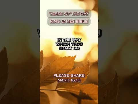 VERSE OF THE DAY - Psalm 32:8 #DailyScripture #BibleVerse #ChristianShorts #ScriptureOfTheDay