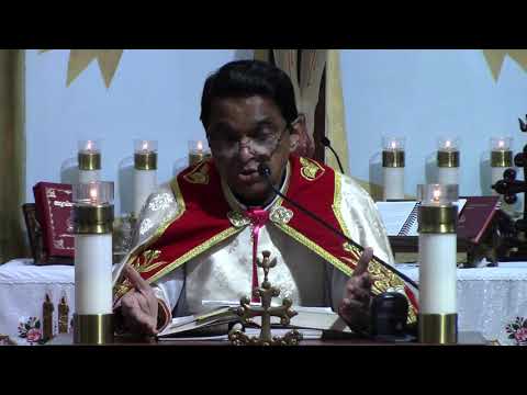 Homily in English on Matthew 22:41-46 Feast of Christ the King by Fr. Mutholath on Nov. 22, 2020.