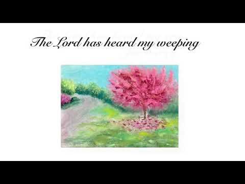Daily Bible Verse - Psalm 6:8-9