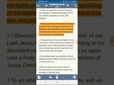 Psalms 120:6[6]My soul hath long dwelt with him that hateth peace.