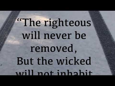 God’s Promises - Proverbs 10:30 #proverbplatypus