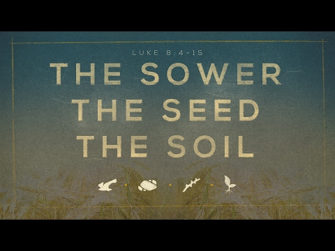 Shawn Bachor - Luke 8:4-15