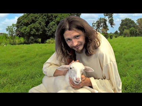 12 The Lost Sheep - Luke 15:2-7 'Rejoice with me'