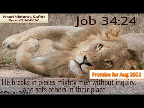 Promise for Aug 2021 - Job 34:24