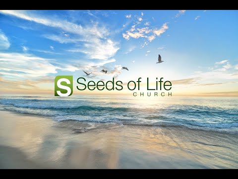 Encouragement For Mothers | Proverbs 31:25-30 | Kyle Shimazaki