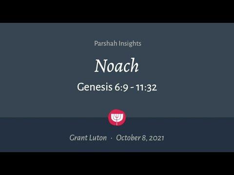 "Noach" (Genesis 6:9-11:32) | October 8, 2021