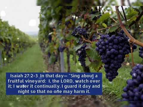 #voiceofworship Isaiah 27:2-3