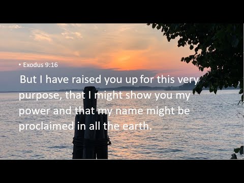 Signs and Wonders – Exodus 9:13-17-Exodus – Saved for God’s Glory, Part 8 – Sermon – 4/3/22