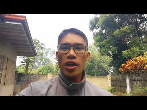 Let Down Your Nets for a CATCH! (Luke 5:1-11 Brief Reflection)