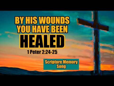 1 Peter 2:24-25 He himself bore our sins in his body on the tree