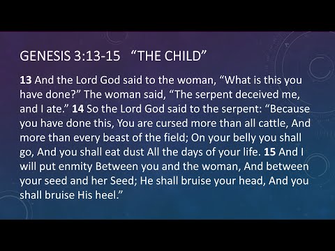 The Child | Genesis 3:13-15