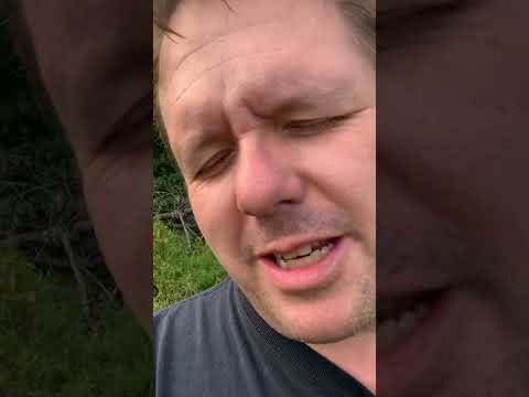 Daily Prayer & Devotion - Psalm 74:17 - August 31st 2022