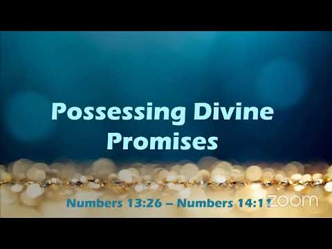 Possessing Divine Promises- Numbers 13:26 – 14:11 (Bishop Okey Ugwu)
