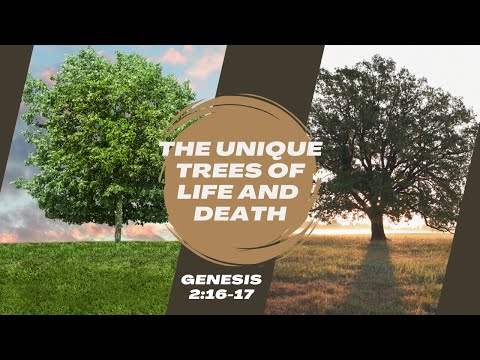 The Unique Trees Of Life And Death [ Genesis 2:16-17 ] by Robin Brown