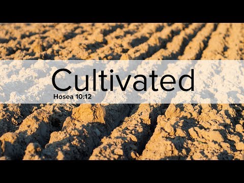 Cultivated - Pastor Dave Ratliff
Hosea 10:12