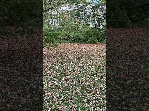 408.  Coffee Break (express) Opposing God You will lose that fight!