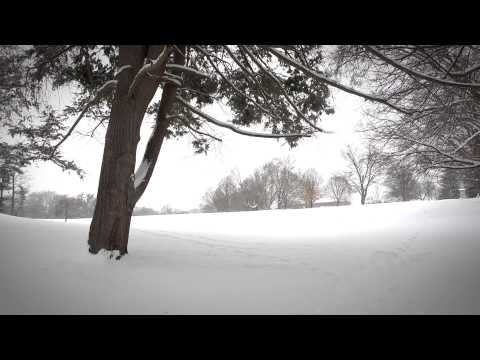 FLBC Daily Devotion Jeremiah 32:41