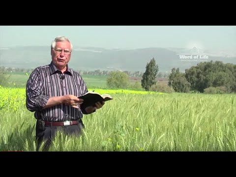 Matthew 12:1-8  Jesus and the Sabbath