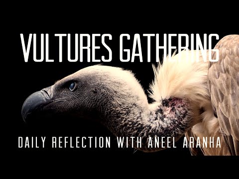 Daily Reflection with Aneel Aranha | Luke 17:26-37 | November 13, 2020