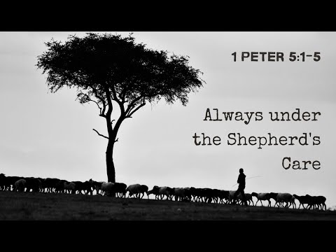 Always under the Shepherd's Care - 1 Peter 5:1-5 (Sermon)