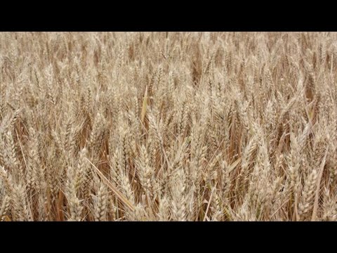 At This Moment In Time  -   Ephesians 5: 13-17