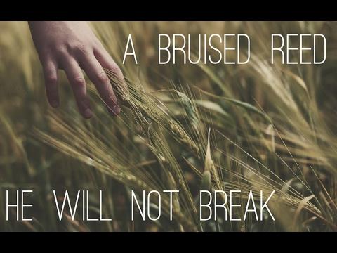 A Bruised Reed He Shall Not Break  ( Isaiah 42:3 )