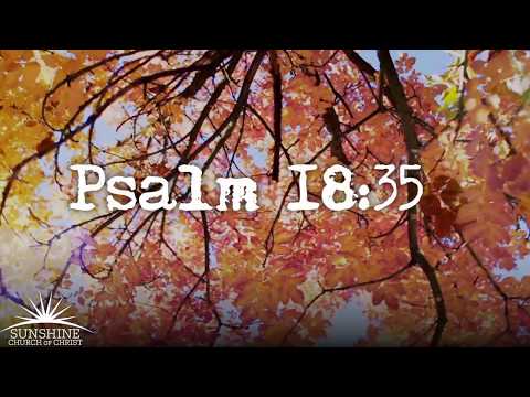Deeply Rooted - Psalm 18:35