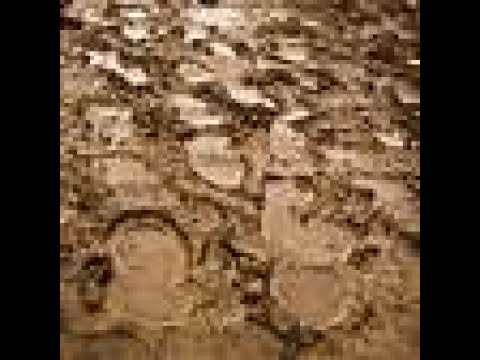 6-29-22, The Fatal Slide Begins, 2 Chronicles 36:1-23