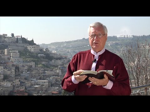 II Samuel 11:1-15, 26-27 –David and Bathsheba - D. Wendel Cover and Ari Bar David