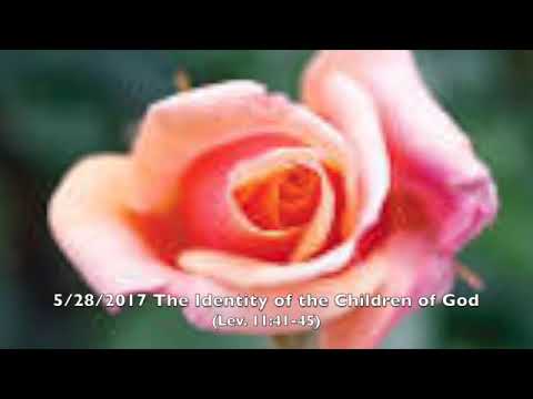 5/28/2017 The Identity of the Children of God (Lev. 11:41-45)