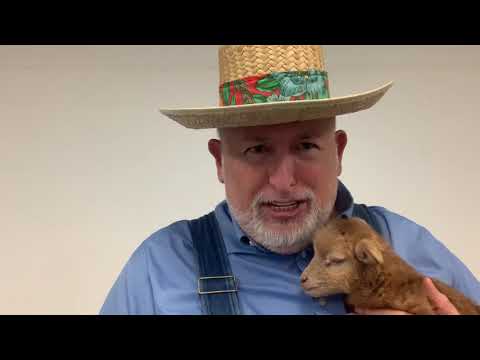 Devotion on John 10:1-4