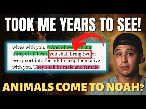 Noah’s Family Is VERY Mysterious For A Reason In Genesis 6:17-22