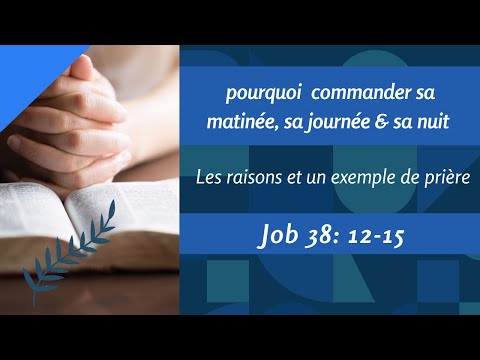 Pourquoi commander son Matin Job 38:12-15