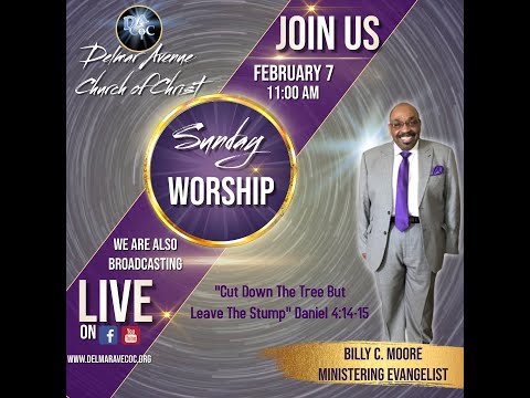 Cut Down the Tree But Save the Stump (Daniel 4:14-15)