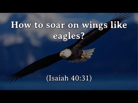 046 How to Soar On Wings Like Eagles (Isaiah 40:31)? | Patrick Jacob