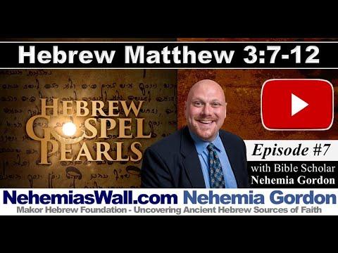 Hebrew Gospel Pearls #7 (Matthew 3:7-12) - NehemiasWall.com