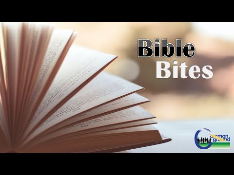 Bible Bites: Matthew 20:29-34