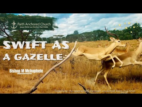 Genesis 49:22; 1 Chronicles 12 :8 | Swift as Gazelle | Spreading beyond Walls | Bishop M Mchophele