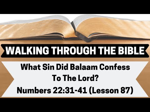 What Sin Did Balaam Confess To The Lord? [Numbers 22:31-41][Lesson 87][WTTB]