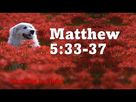 Matthew 5:33-37 / Daily Reading